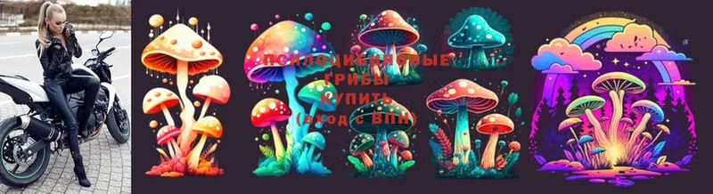 Псилоцибиновые грибы Psilocybe  KRAKEN маркетплейс  Мосальск 